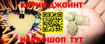 сатива Новодвинск