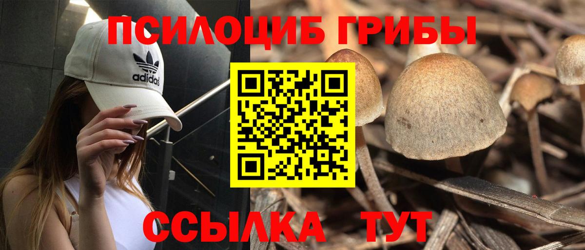 Галлюциногенные грибы Psilocybine cubensis  Псилоцибиновые грибы GOLDEN TEACHER  Вход с VPN  Тихорецк 